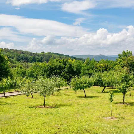 Romantica By Interhome * Tihany