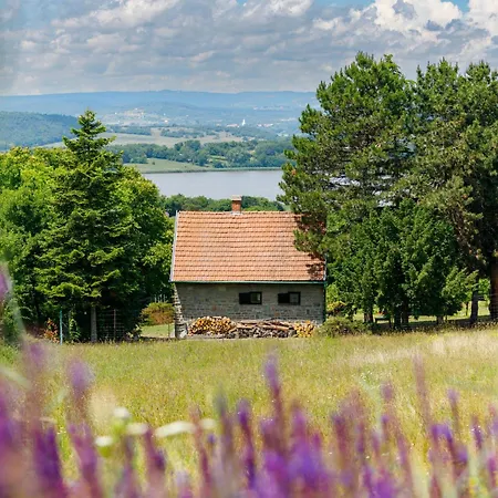 Romantica By Interhome * Tihany